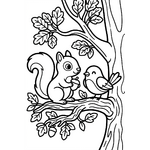 écureuil et oiseau dans un arbre