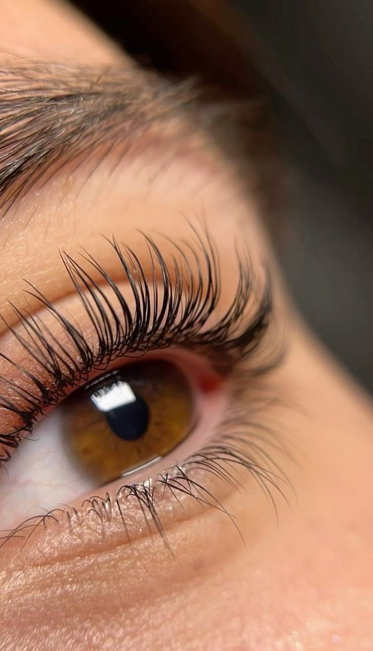 cils