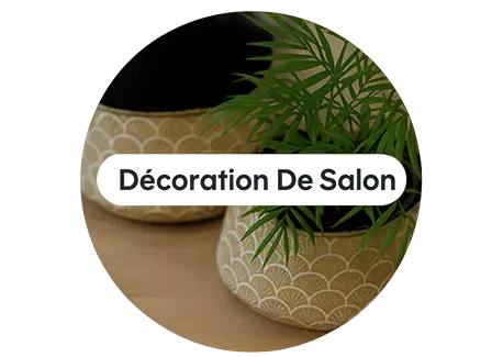 decoration-de-salon