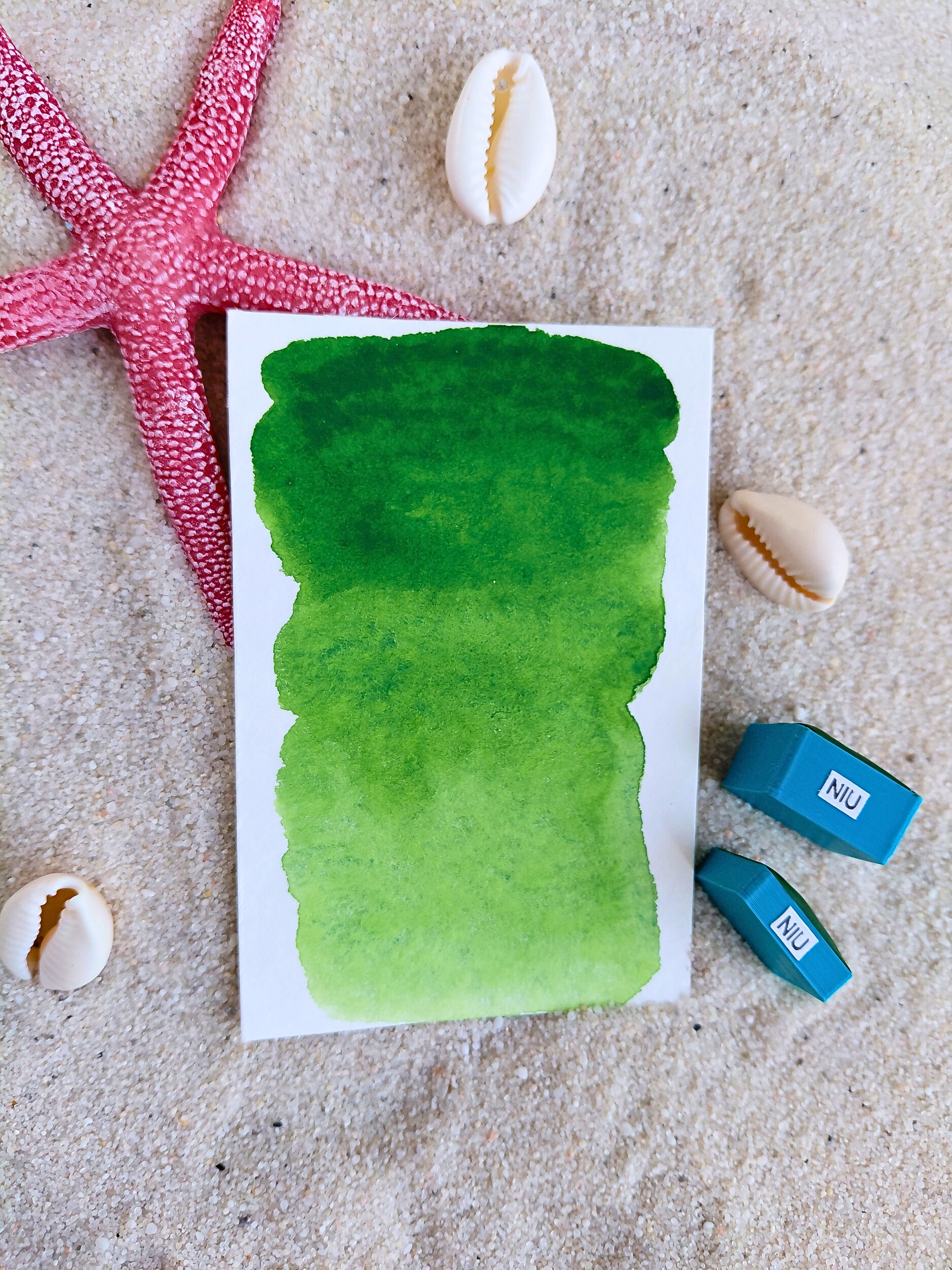 NIU – aquarelle artisanale vert luxuriant avec deux godets