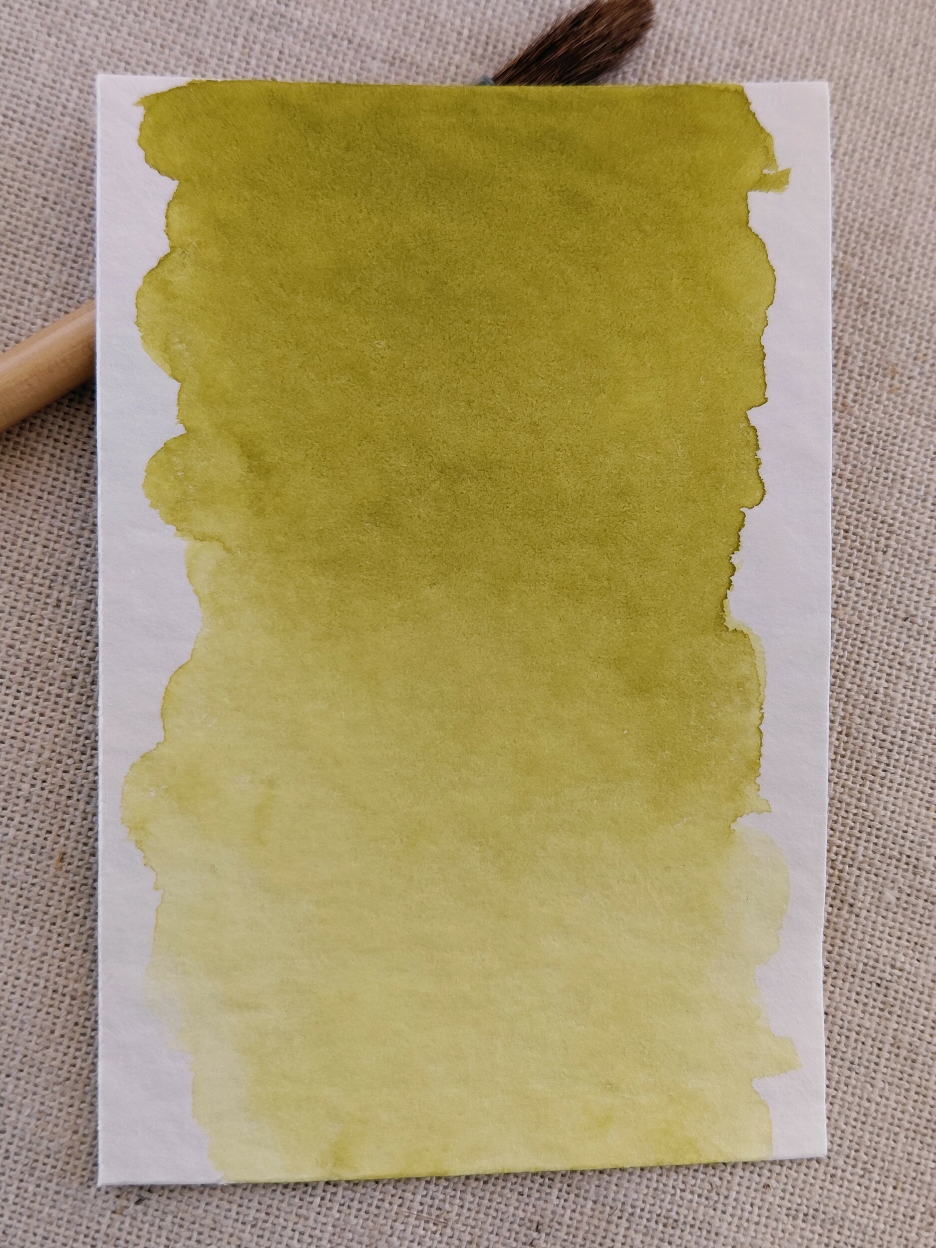 VIGNE – aquarelle artisanale vert olive