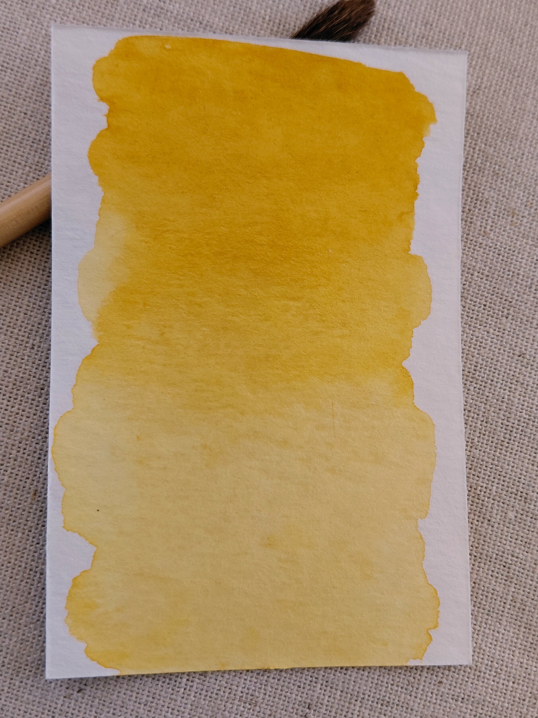 MUSCAT – aquarelle artisanale ocre jaune doré