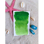 NIU – aquarelle artisanale vert luxuriant avec deux godets