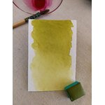 VIGNE – aquarelle artisanale vert olive avec godet