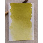VIGNE – aquarelle artisanale vert olive