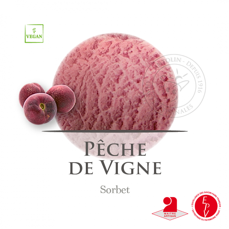122021-sorbet-peche-de-vigne-antolin