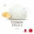 122013-sorbet-citron-delice-antolin