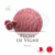 122021-sorbet-peche-de-vigne-antolin