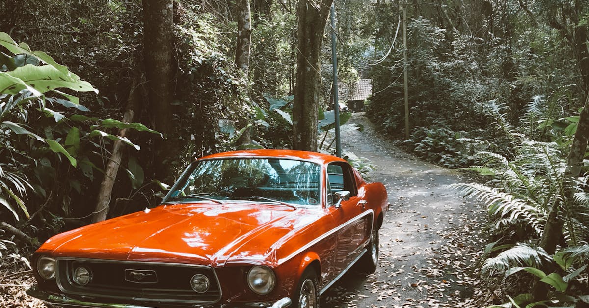 ford mustang rouge et noire