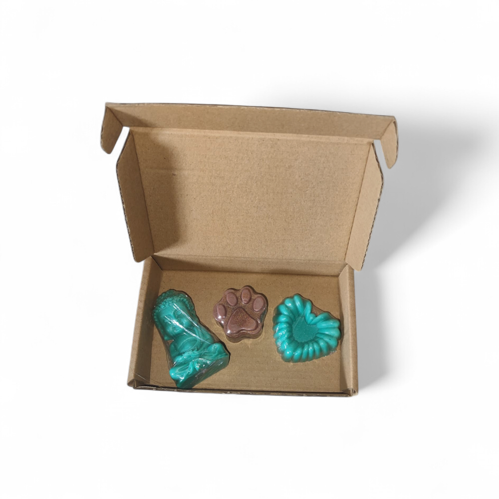 pack-1-canelle-2