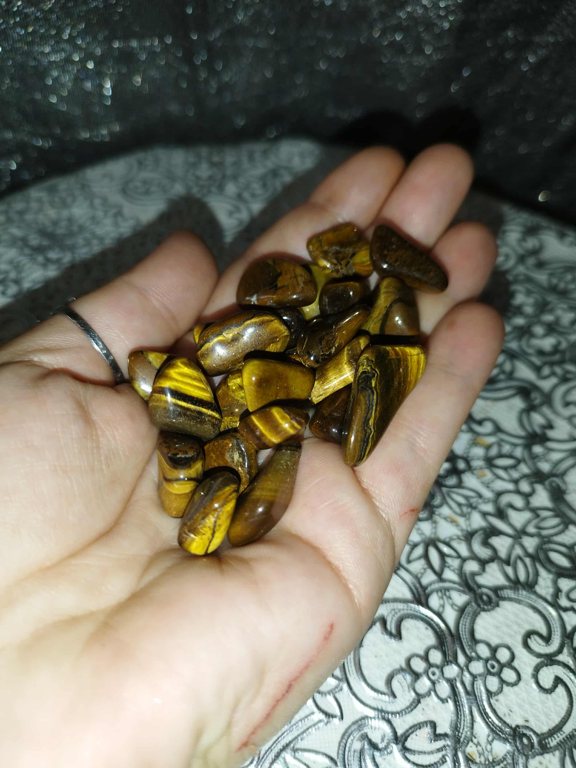 oeil du tigre