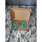 pack 1 canelle 2