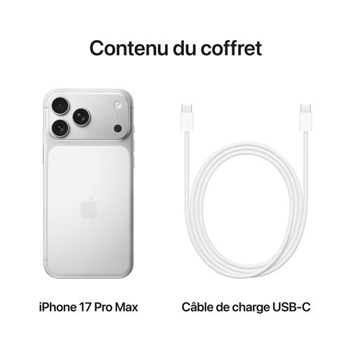 Apple-iPhone-17-Pro-Max-6-9-5G-Double-SIM-256-Go-Argent (3)