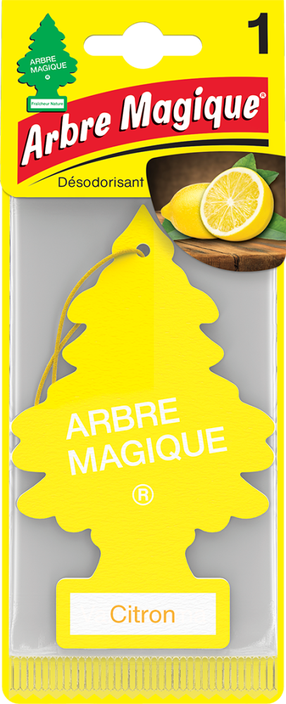 40-AM-Sapin-sdaa-core-Citron-7612720-201136-RVB-300-dpi