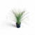 dasy-2