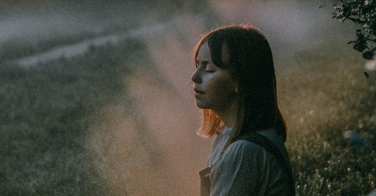 photos gratuites de beaute brouillard brume