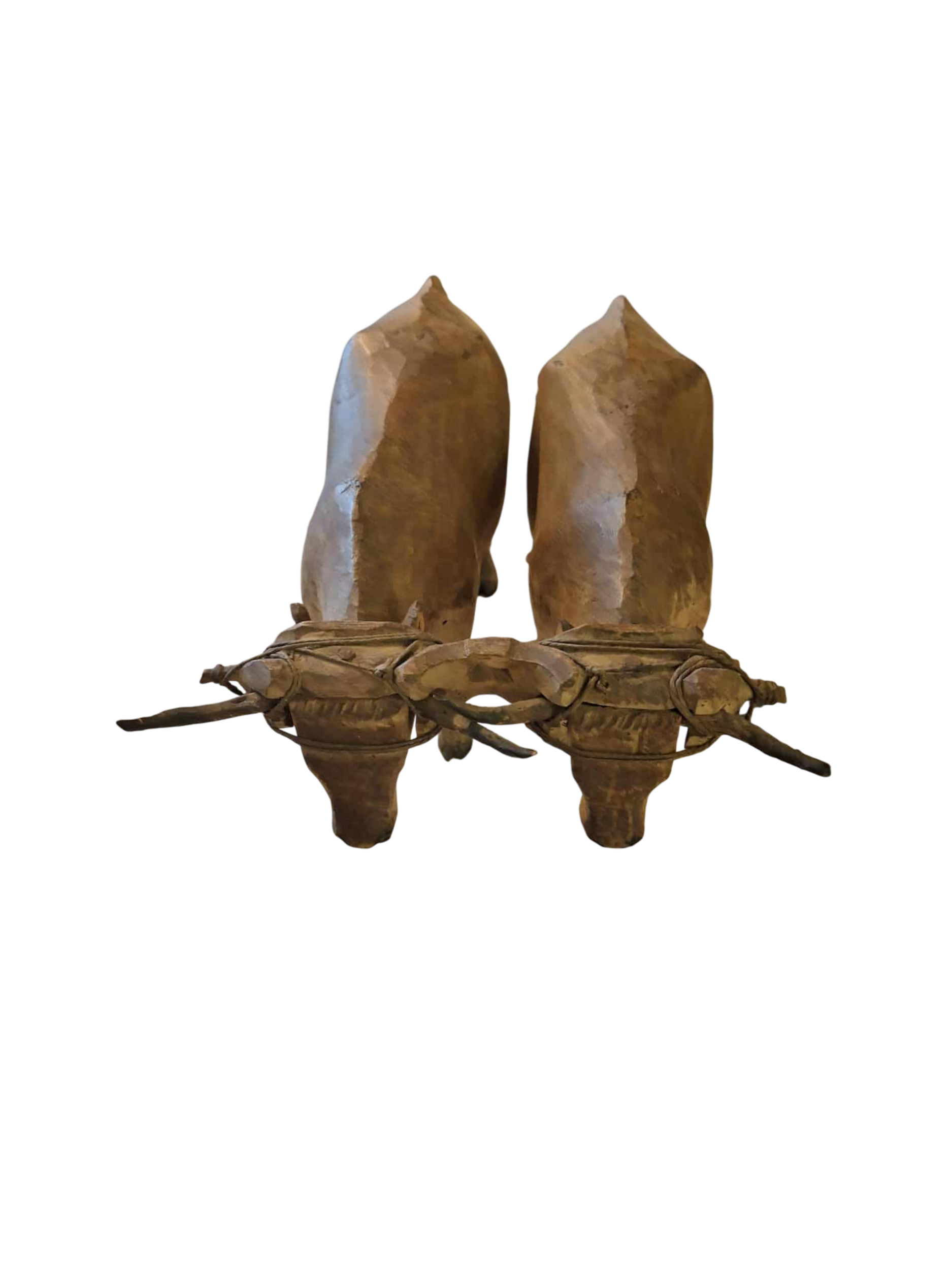 boeufs bois