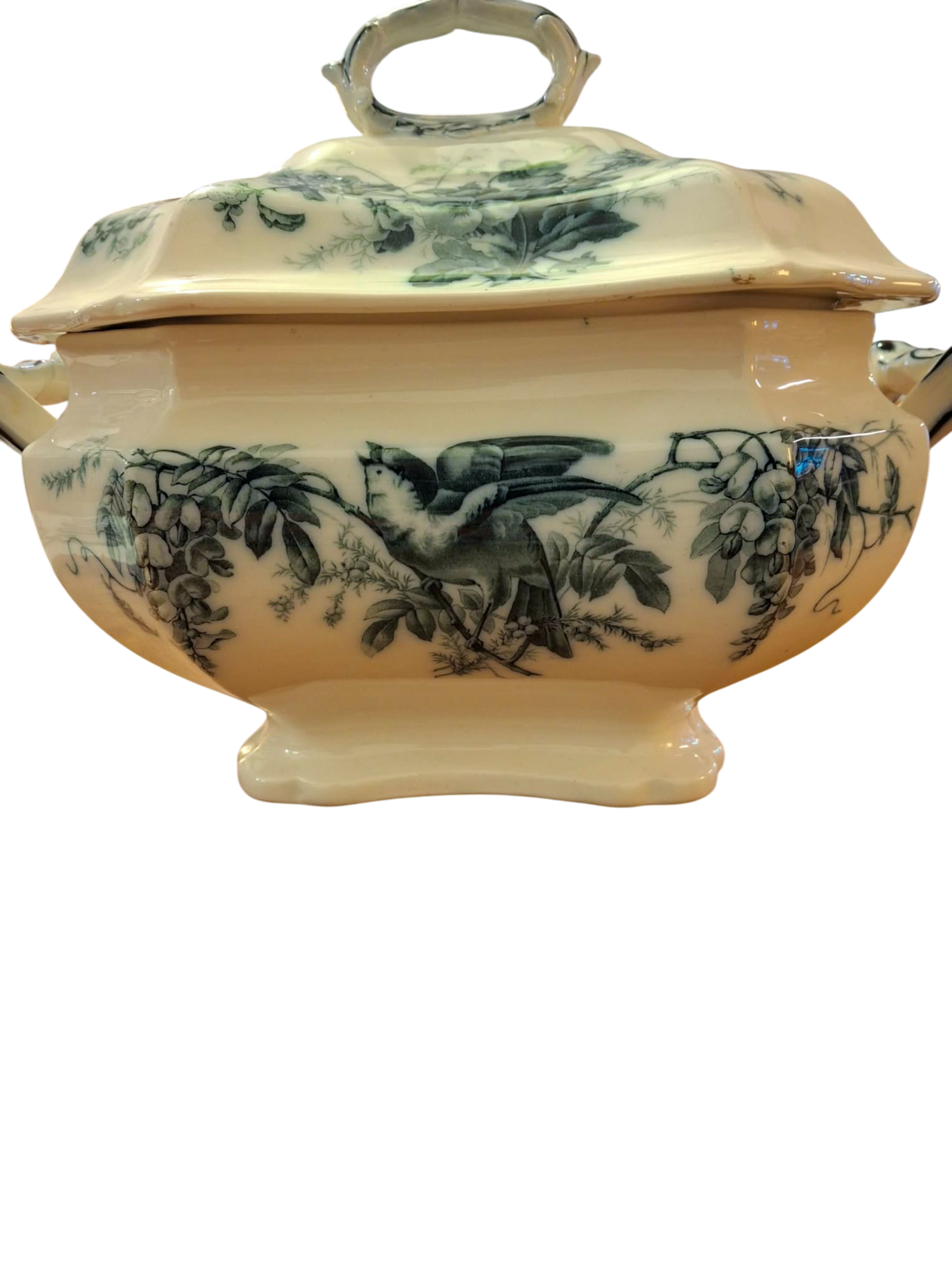 soupière anglaise 6