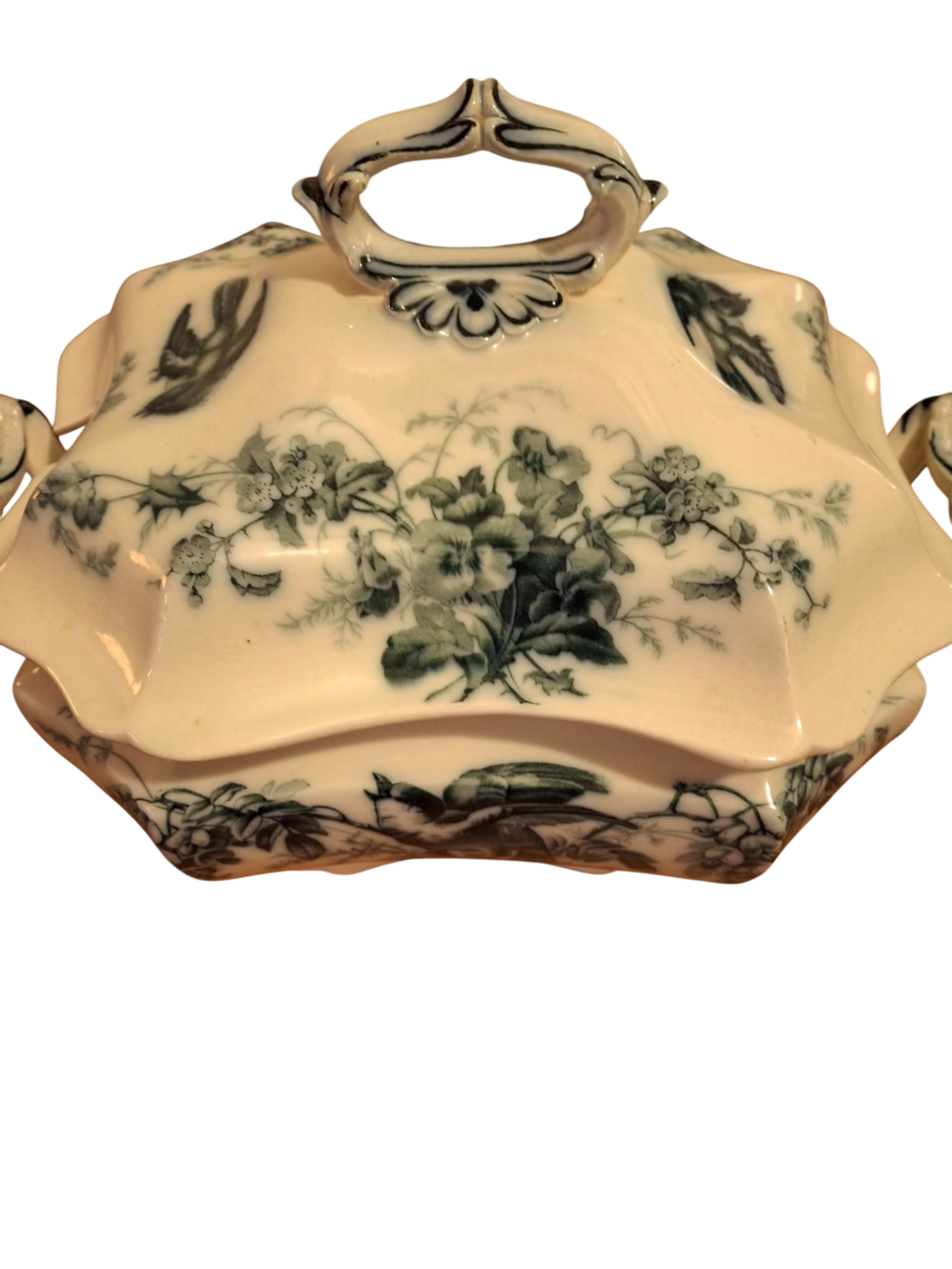 soupière anglaise 4