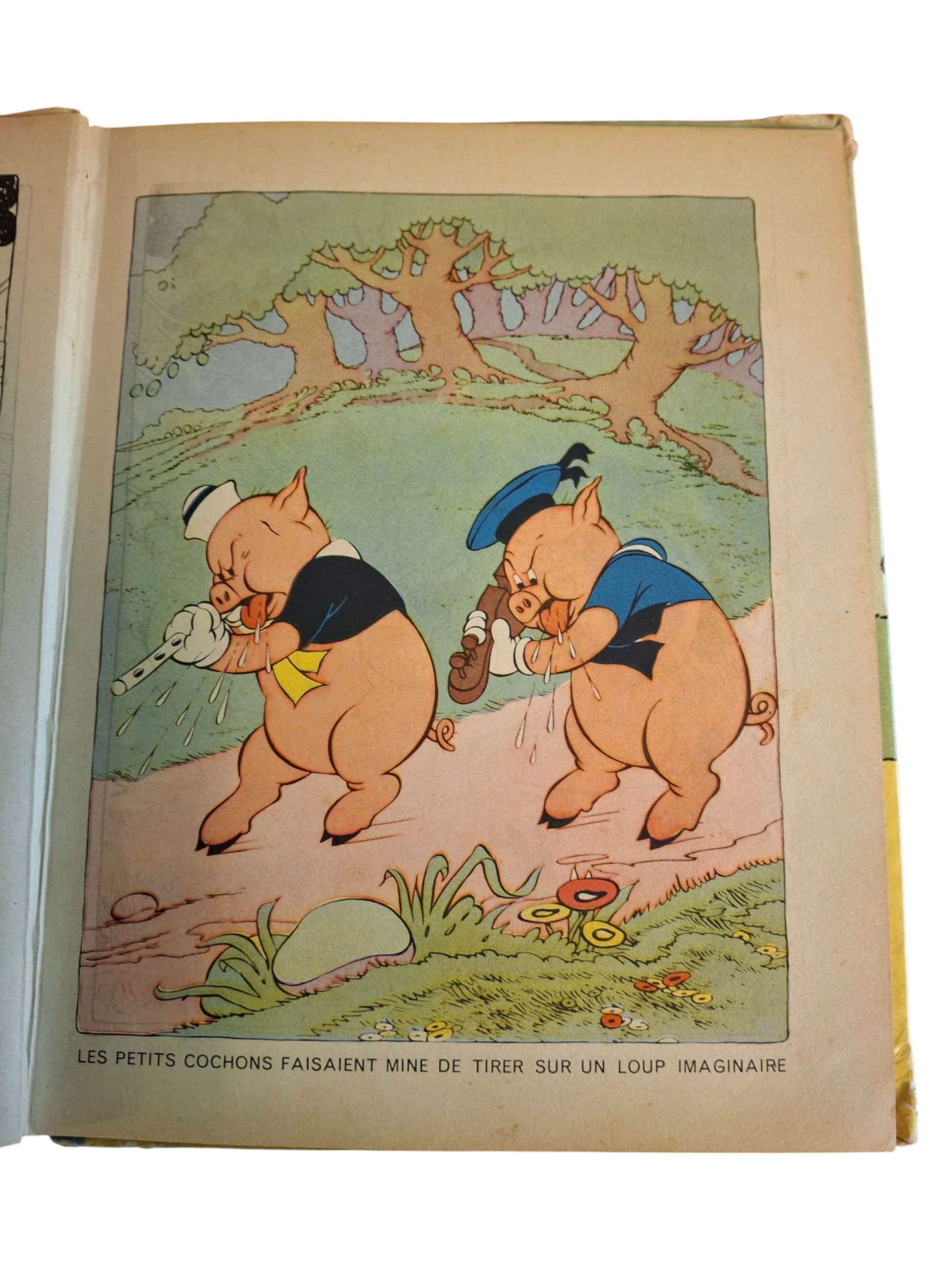 les 3 petits cochons 5