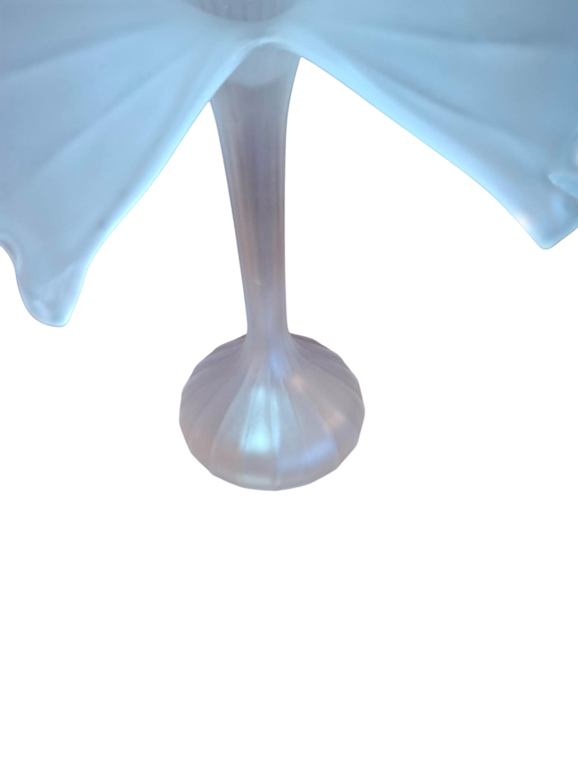 soliflore 3