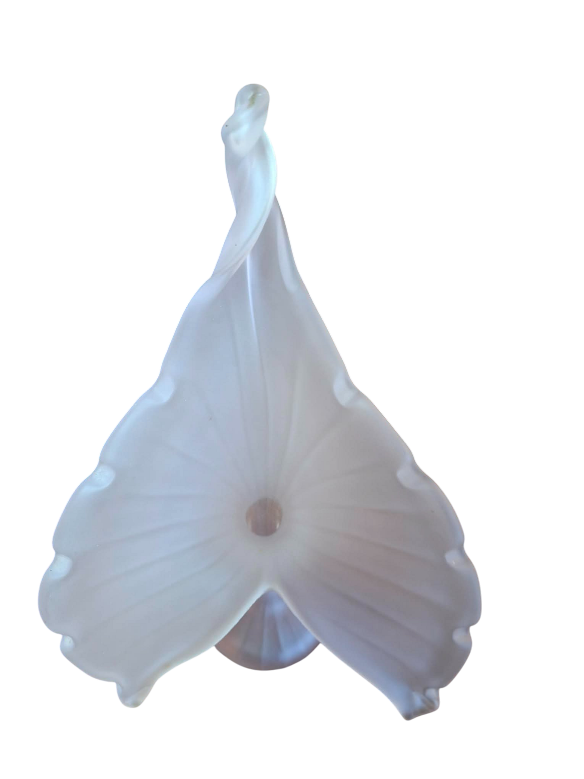 soliflore 2