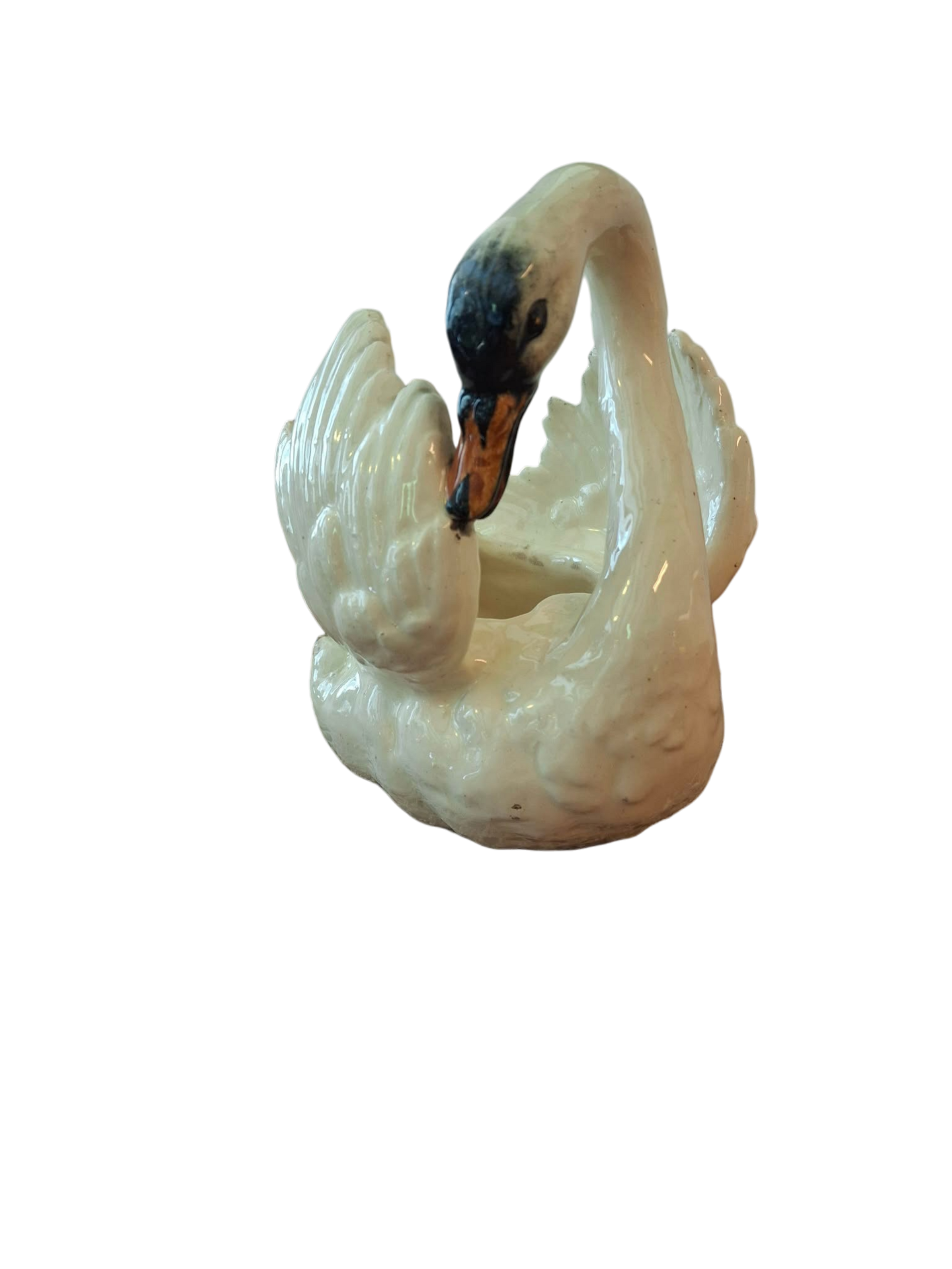 cygne vallauris7