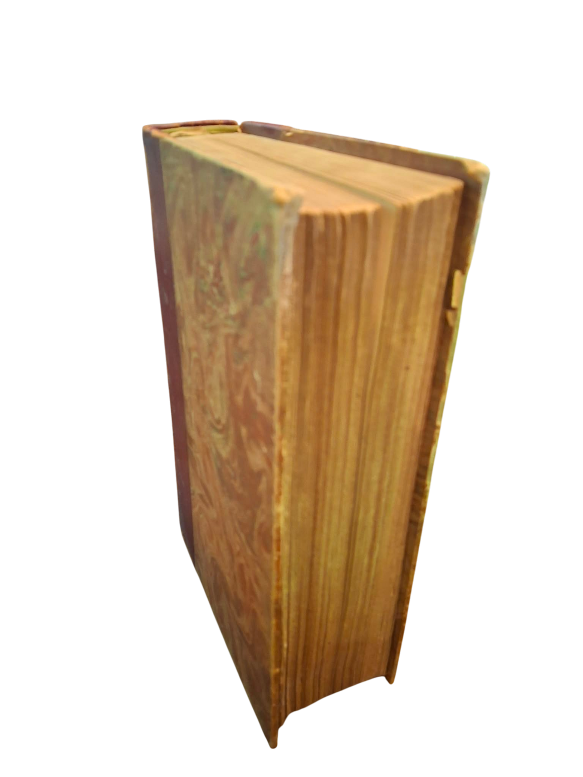 livre napoléon dernier2