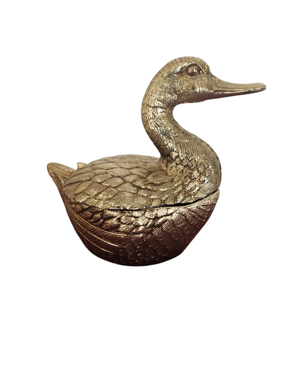 canard (1)
