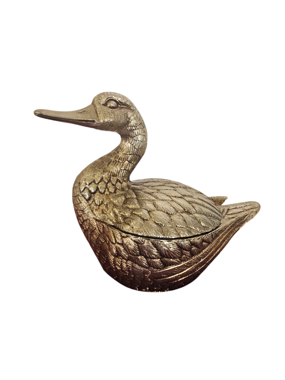 canard (2)