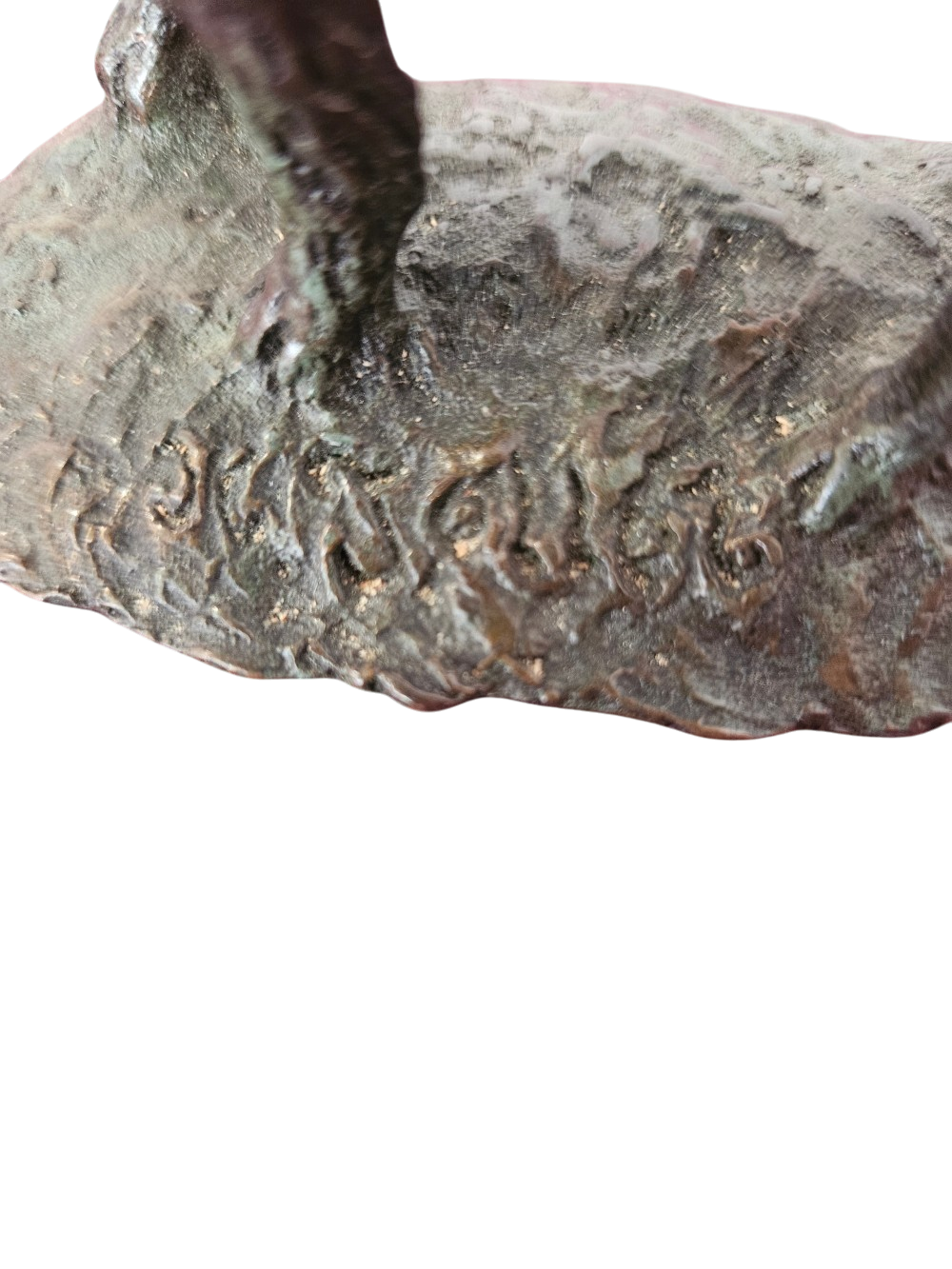 epagneul (4)