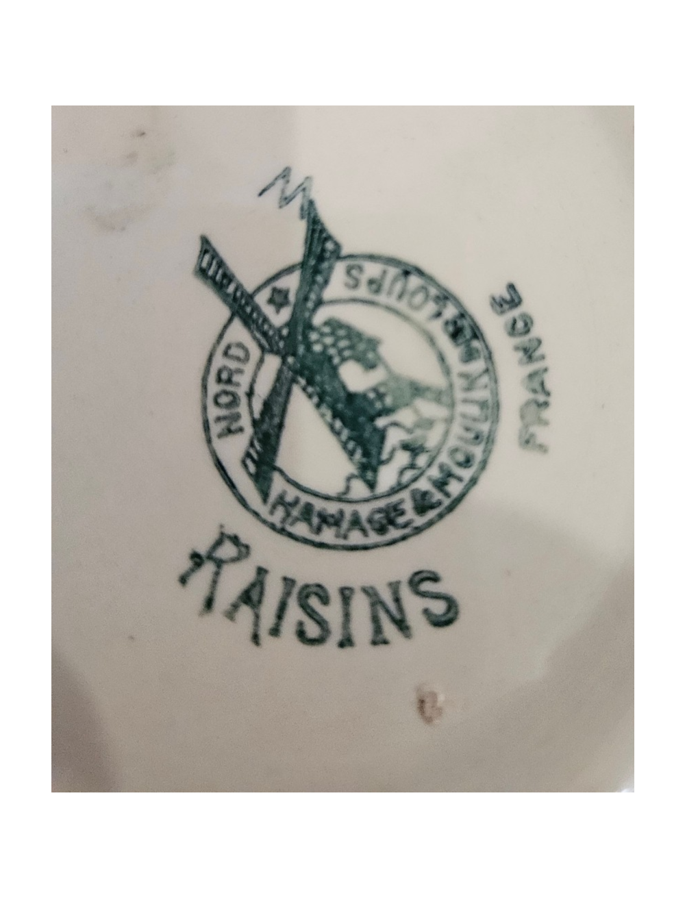 Toilette raisns (6)