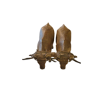 boeufs bois