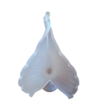 soliflore 2