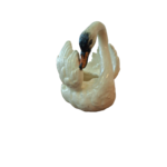 cygne vallauris7