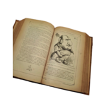 livre napoléon dernier3