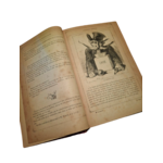 livre napoléon dernier5