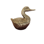 canard (1)