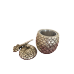 ananas (3)