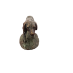 epagneul (3)