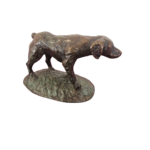 epagneul (2)