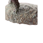 epagneul (4)
