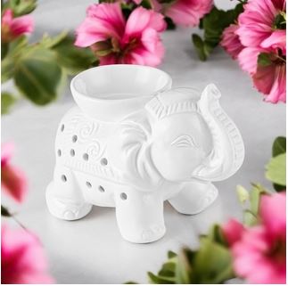ELEPHANT BLANC