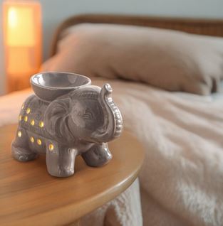 ELEPHANT GRIS2