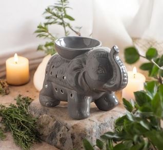 ELEPHANT GRIS