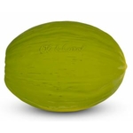 MELON SENSORIELLE OLI&CAROL
