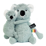 PTIPOTOS KOALA