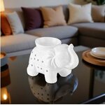 ELEPHANT BLANC2