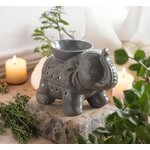 ELEPHANT GRIS
