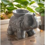 ELEPHANT GRIS1
